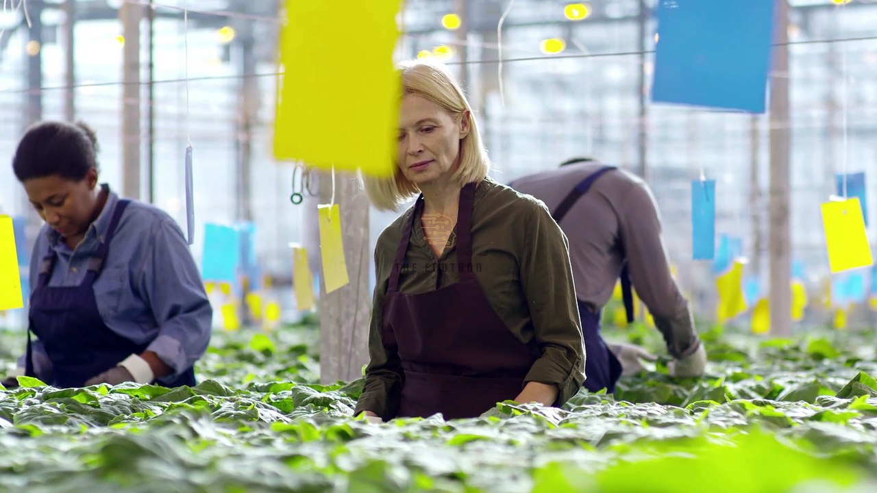 What is Labor Day? The meaning behind Labor Day