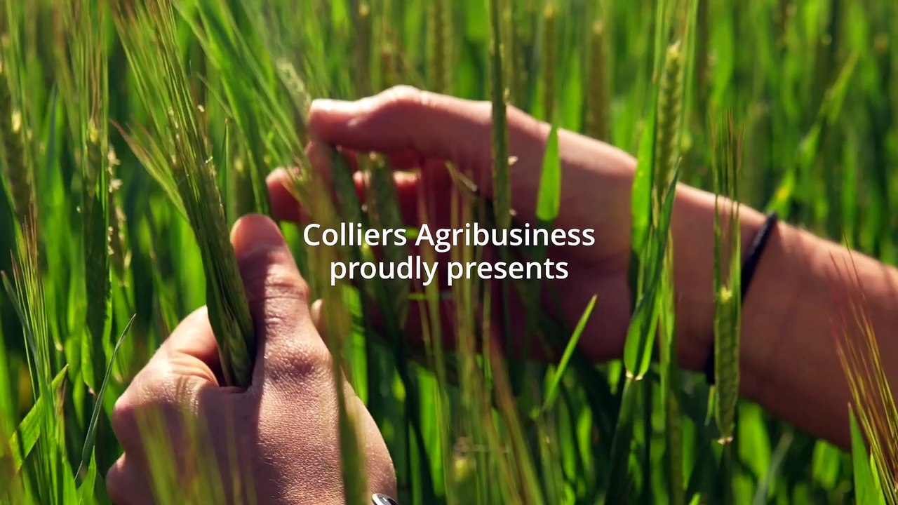 Bodallin Aggregation & Warralakin Aggregation, WA | Farm Weekly