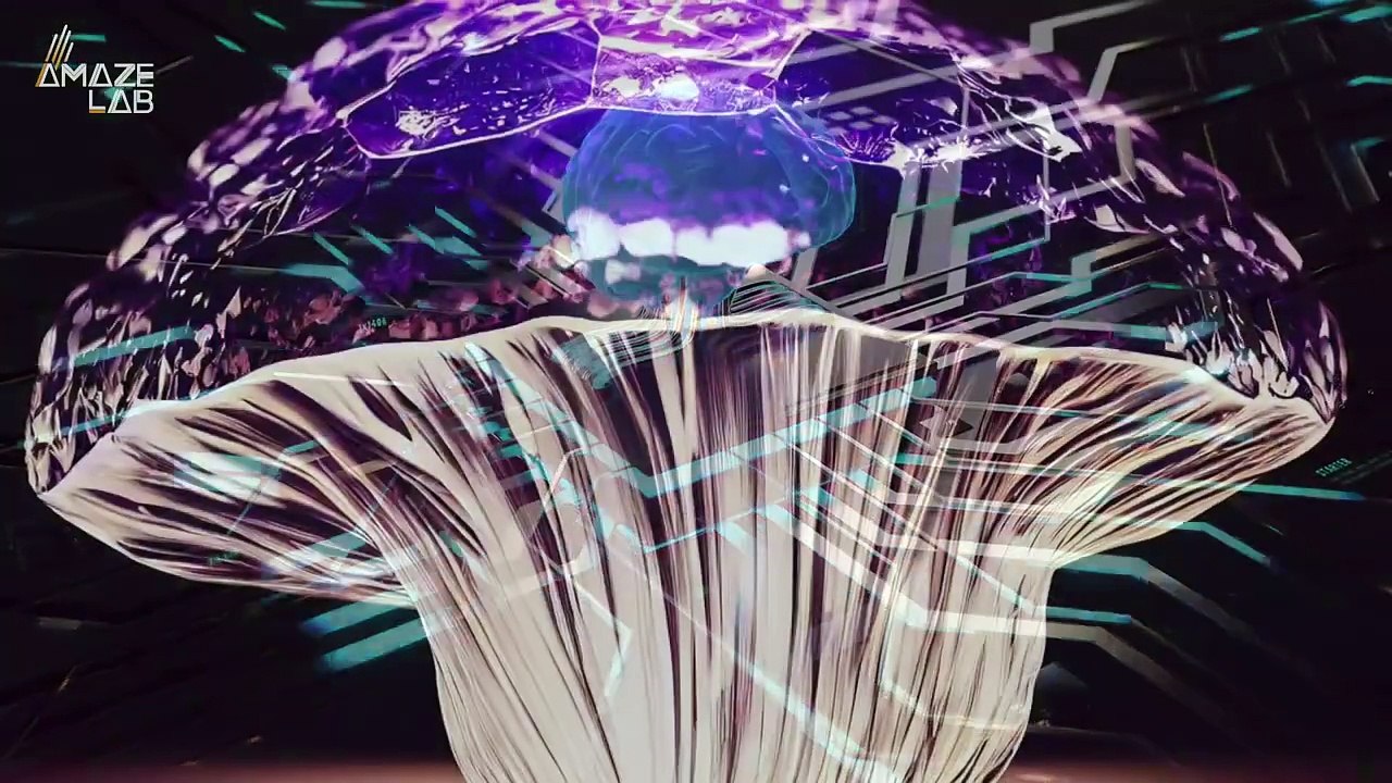 Researchers Create ‘Roboshroom,’ a Mushroom-Controlled Robot