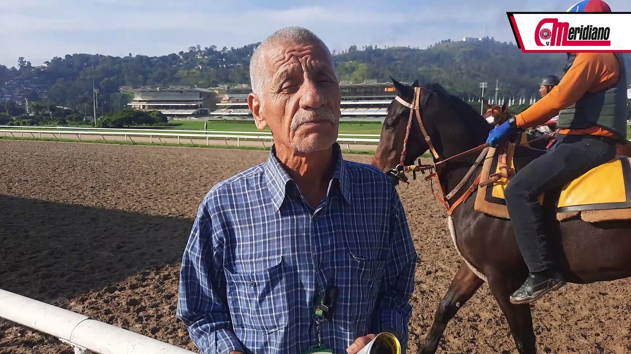 HIPISMO: Luis Rosendo - Entrenador