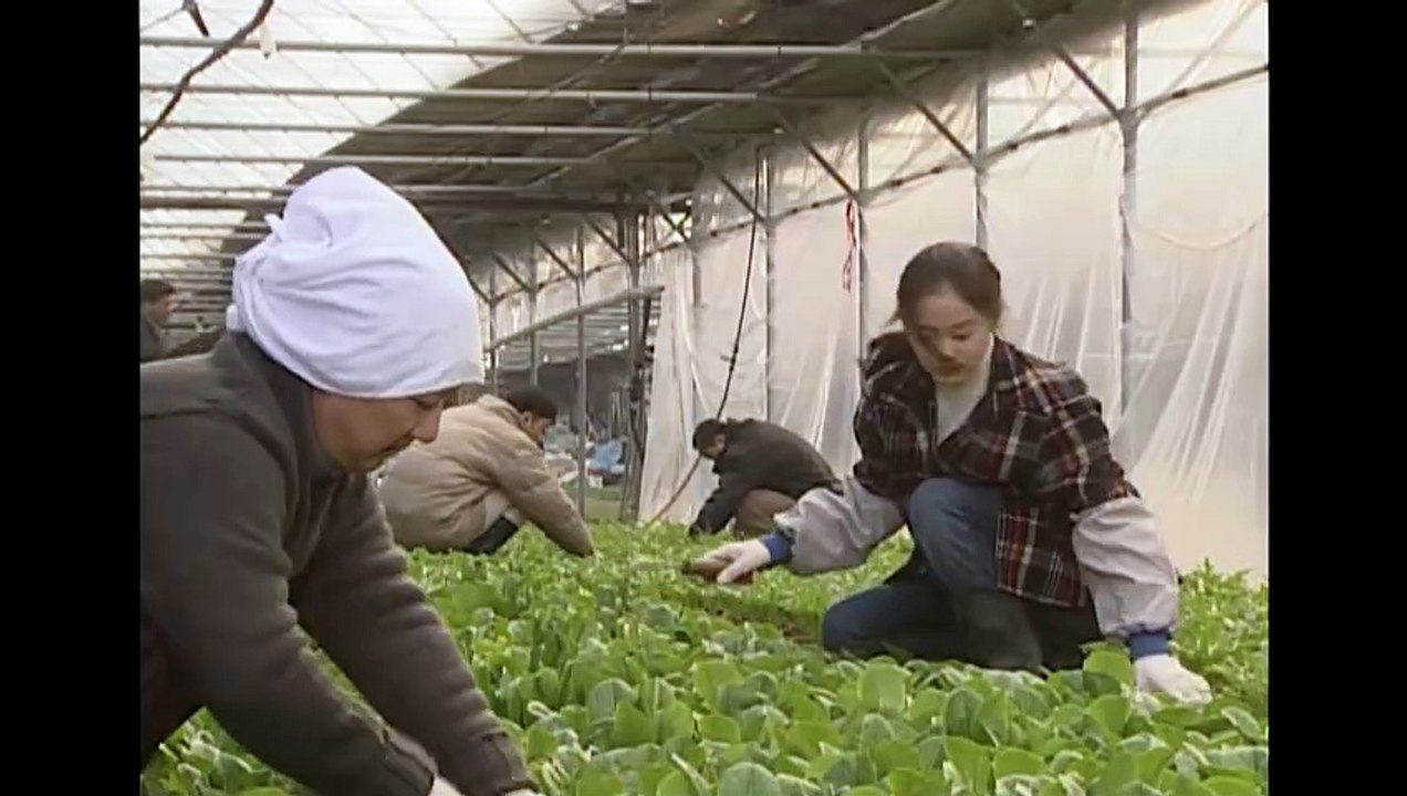 กฎหมายรักฉบับฮาร์วาร์ด ตอนที่ 15 พากษ์ไทย HD