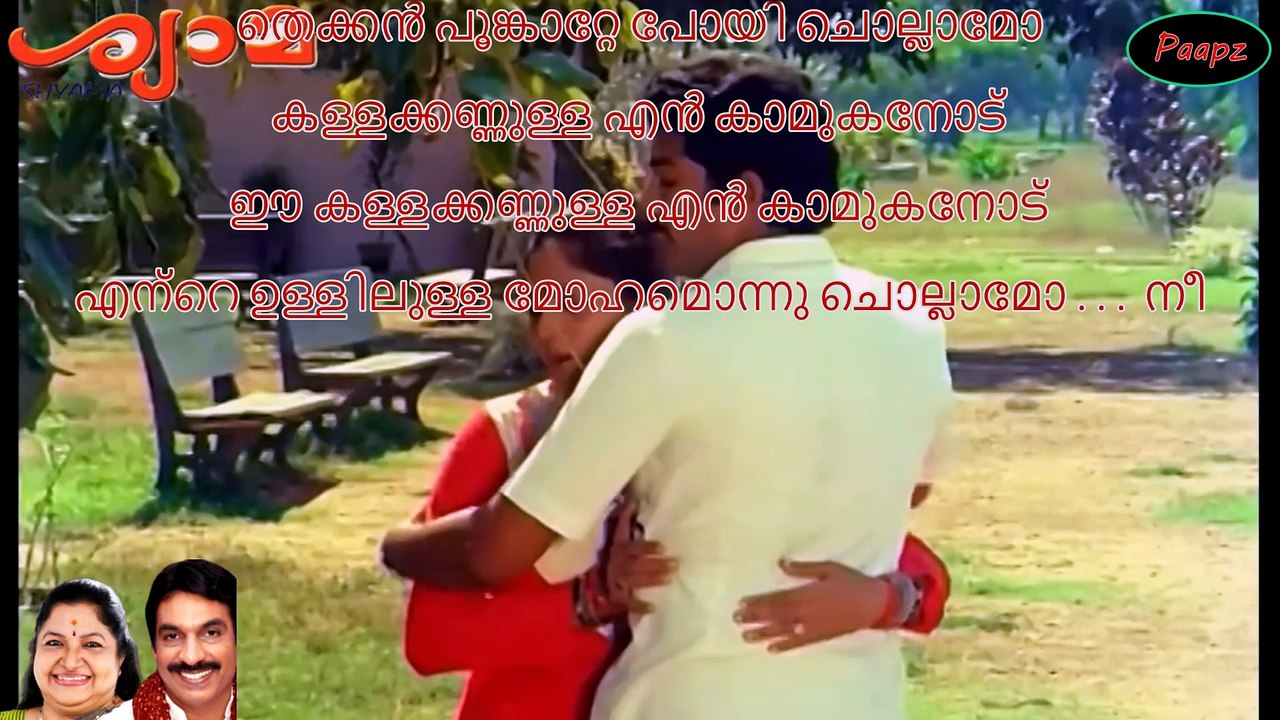 Karaoke - Poonkatte poyi chollamo - Malayalam Lyrics