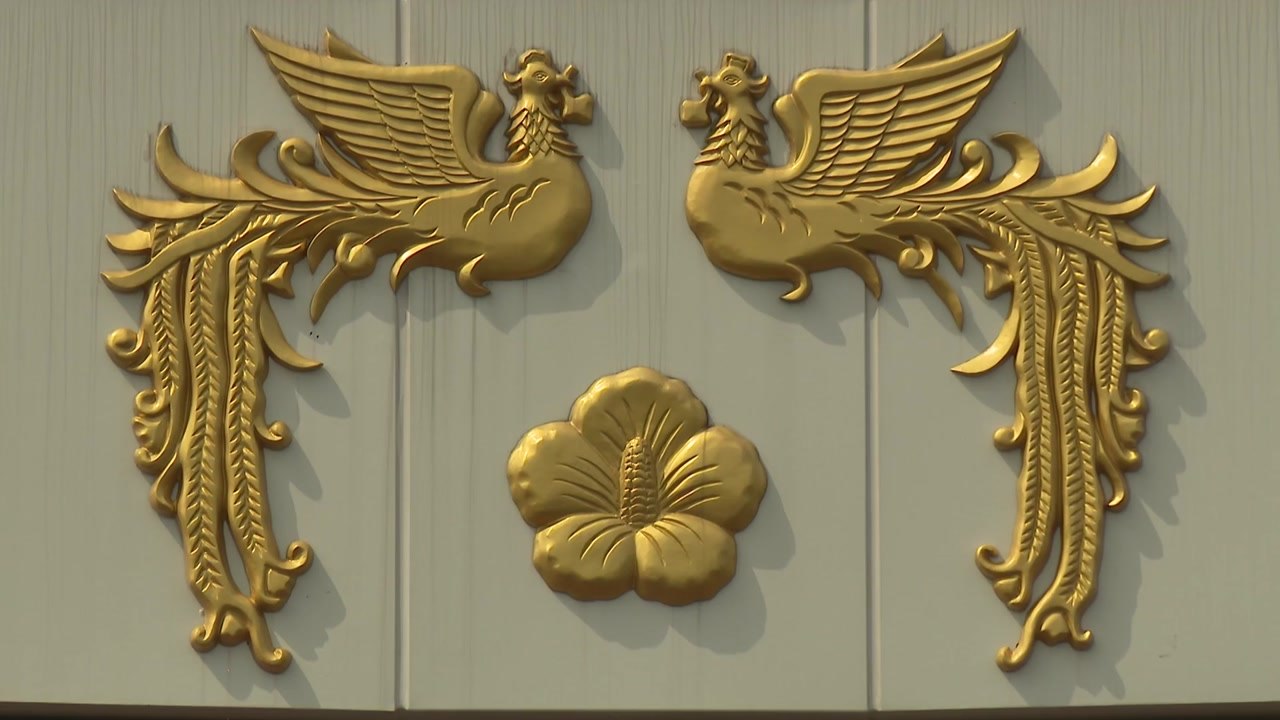 대통령실 "복지부 장차관 경질, 전혀 검토하고 있지 않아" / YTN