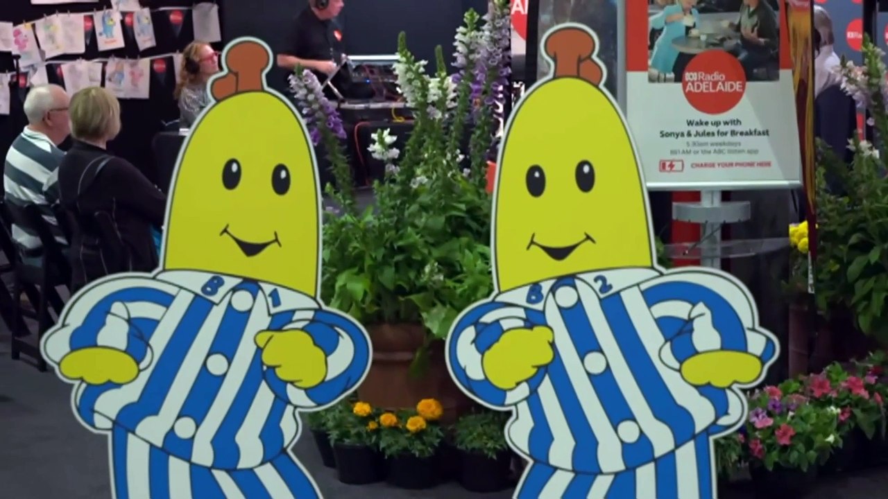 Former South Australian Liberal leader David Speirs says party should consider placing the state division under federal control