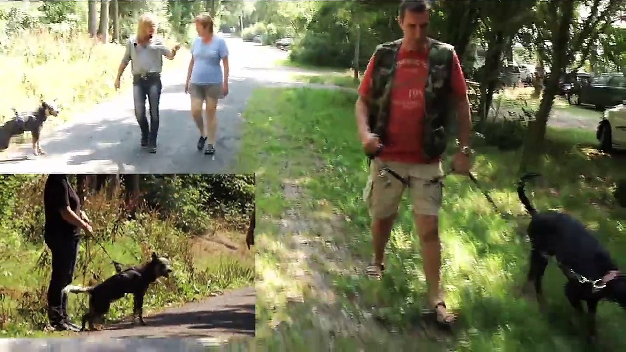 Die Große Freiheit | movie | 2022 | Official Trailer