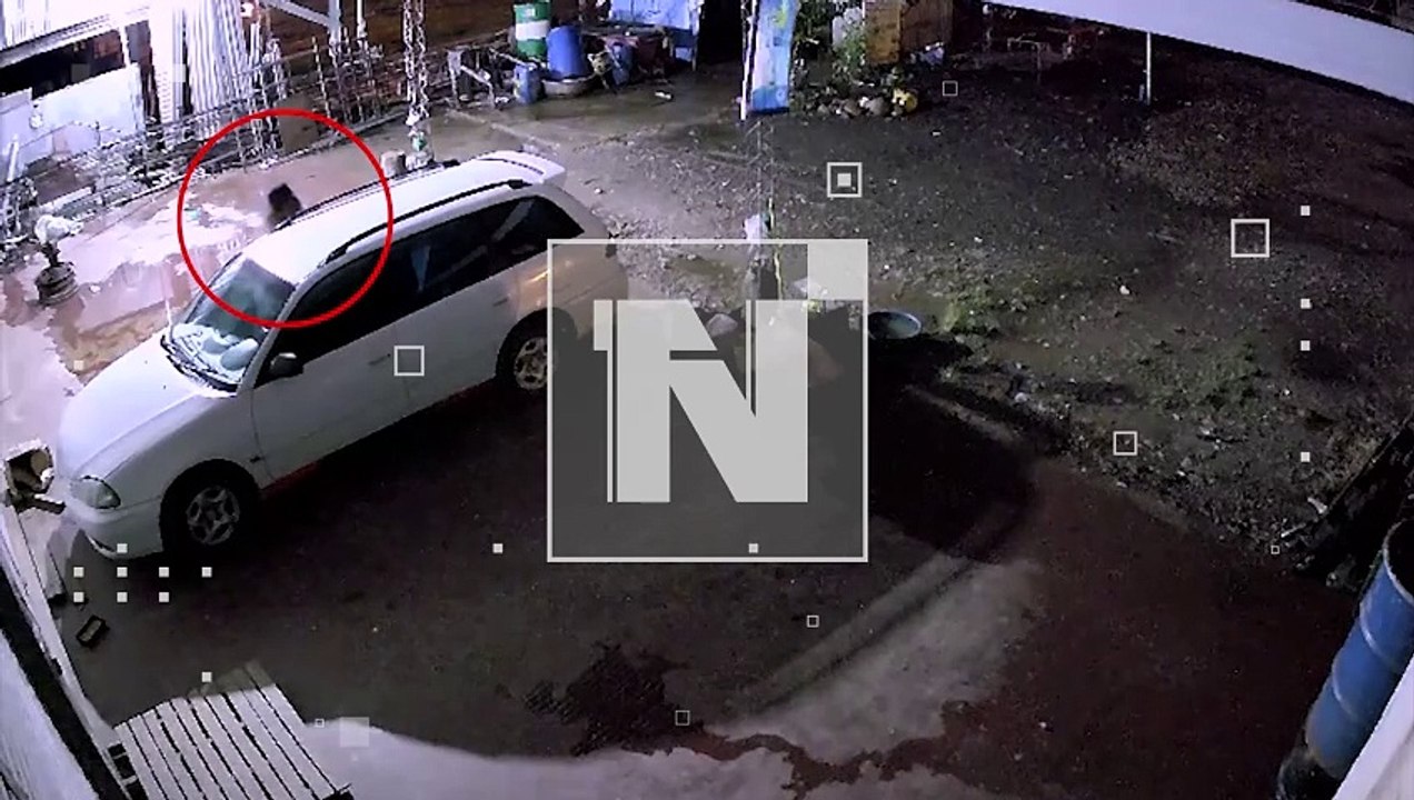 VIDEO: ¡Como si nada! Ladrón saltó una pared, entró a una casa y robó vehículo en el Trópico