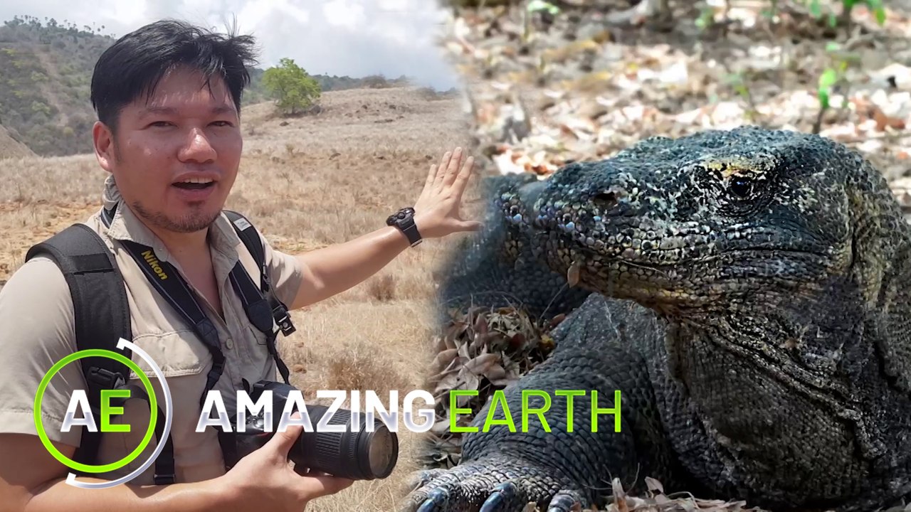 Amazing Earth: Gregg Yan’s wild encounter with nature’s real dragons!