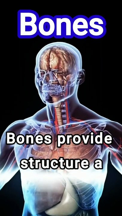 Parts of body name | human body parts organ