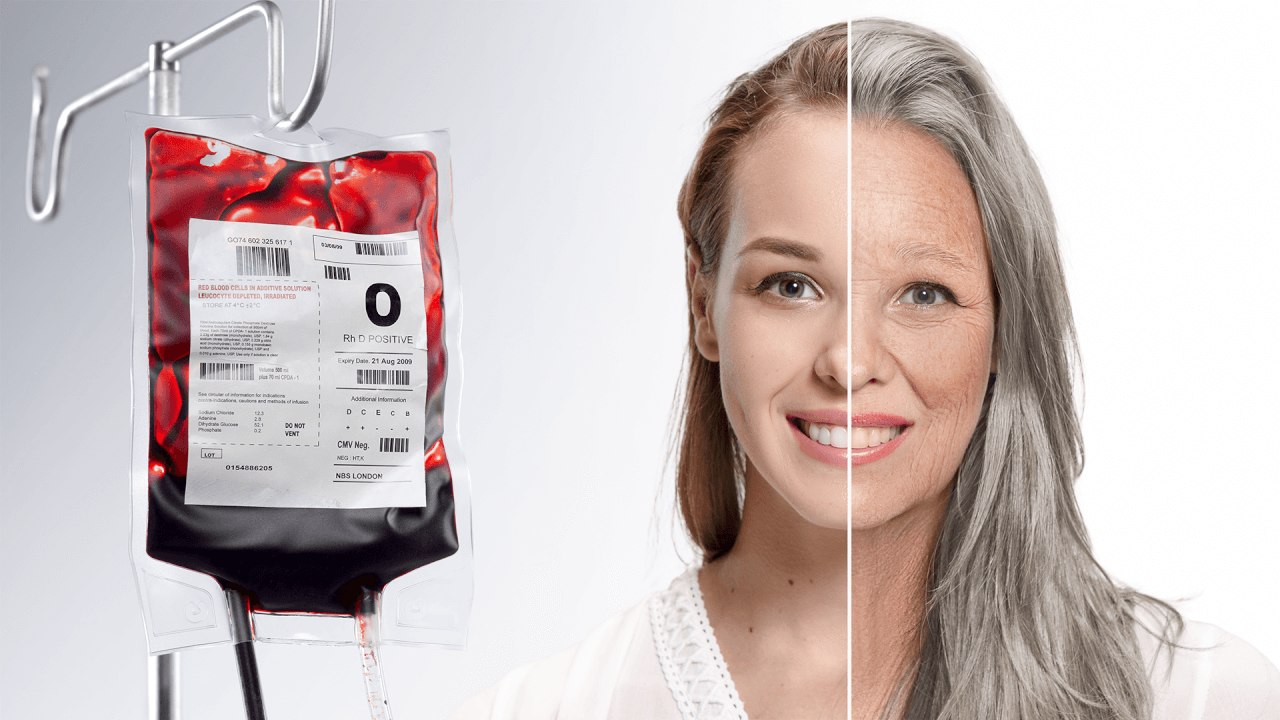 Could Blood Replacement Therapy Reverse Aging?