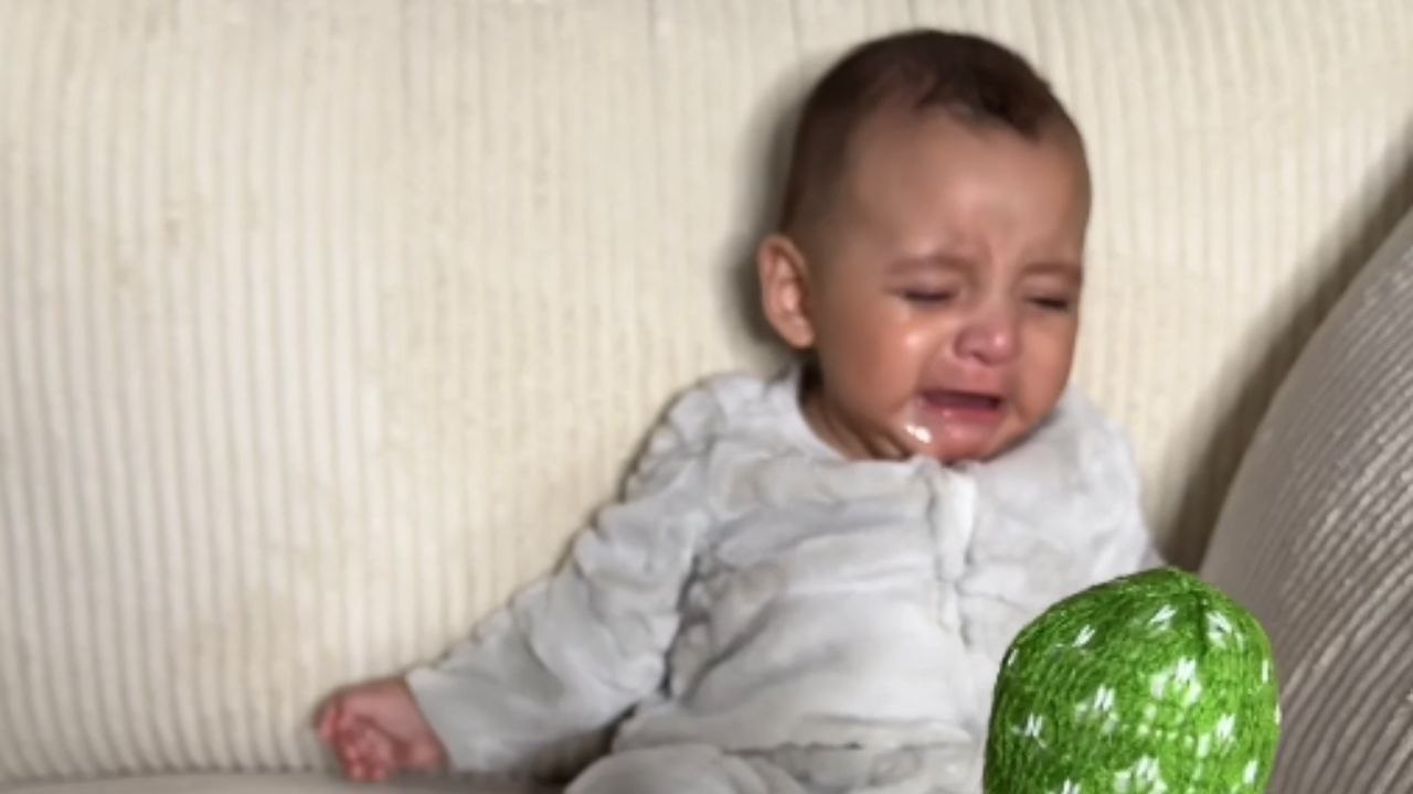 Viral dancing cactus toy interrupts baby’s tantrum as he becomes intrigued by its funny movements