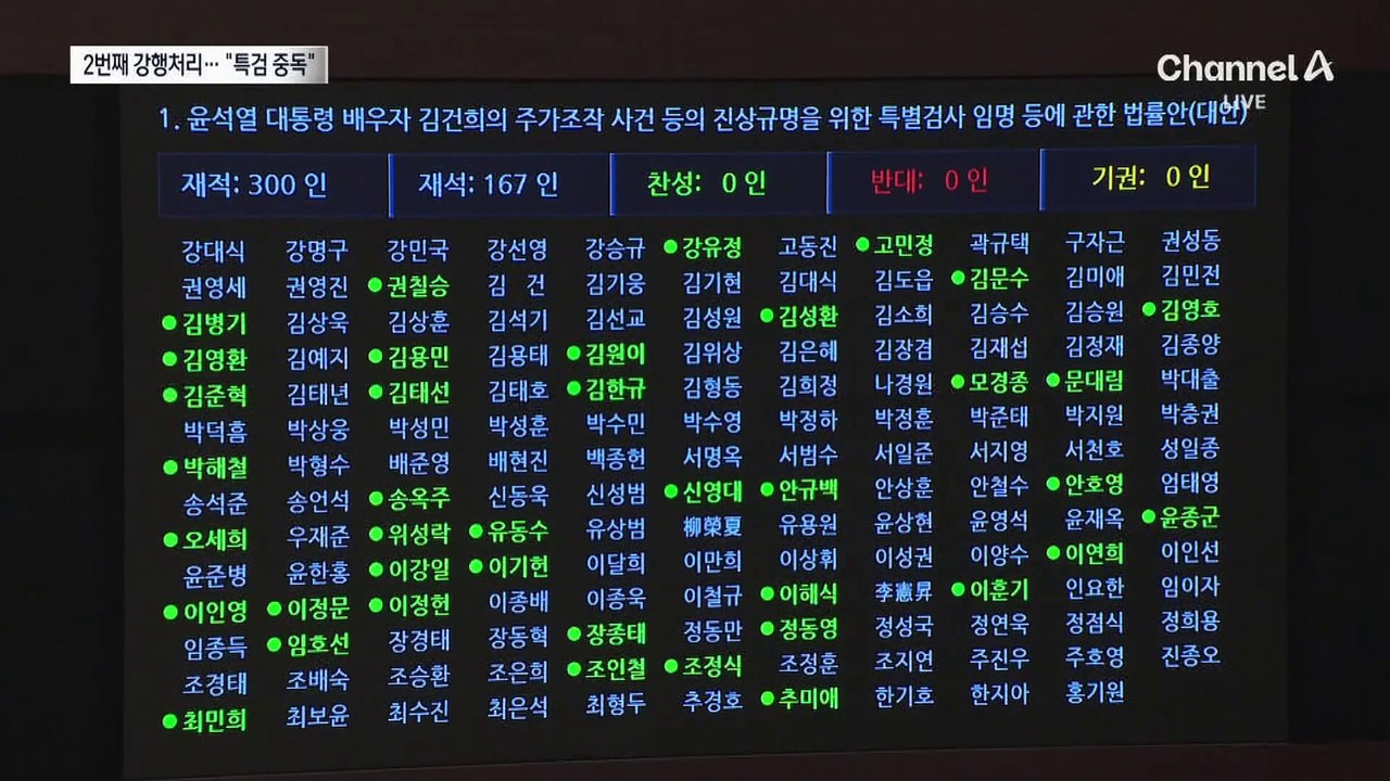 ‘김 여사 특검법’ 두 번째 강행 처리…여 “지독한 특검 중독”