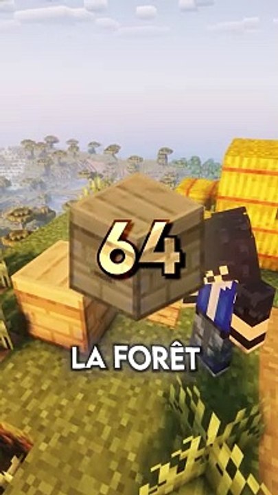 Steve range OU ses abeilles?#Backtoschool #physique #science #maths #minecraft