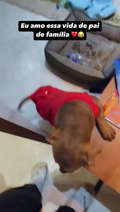 MC Daniel compartilha momento fofo com namorada grávida: "Amo essa vida de pai"