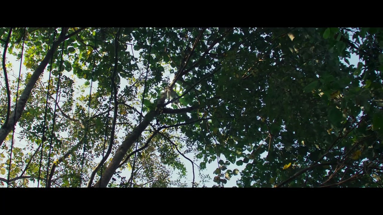 Kishkindha Kaandam Bande-annonce VO