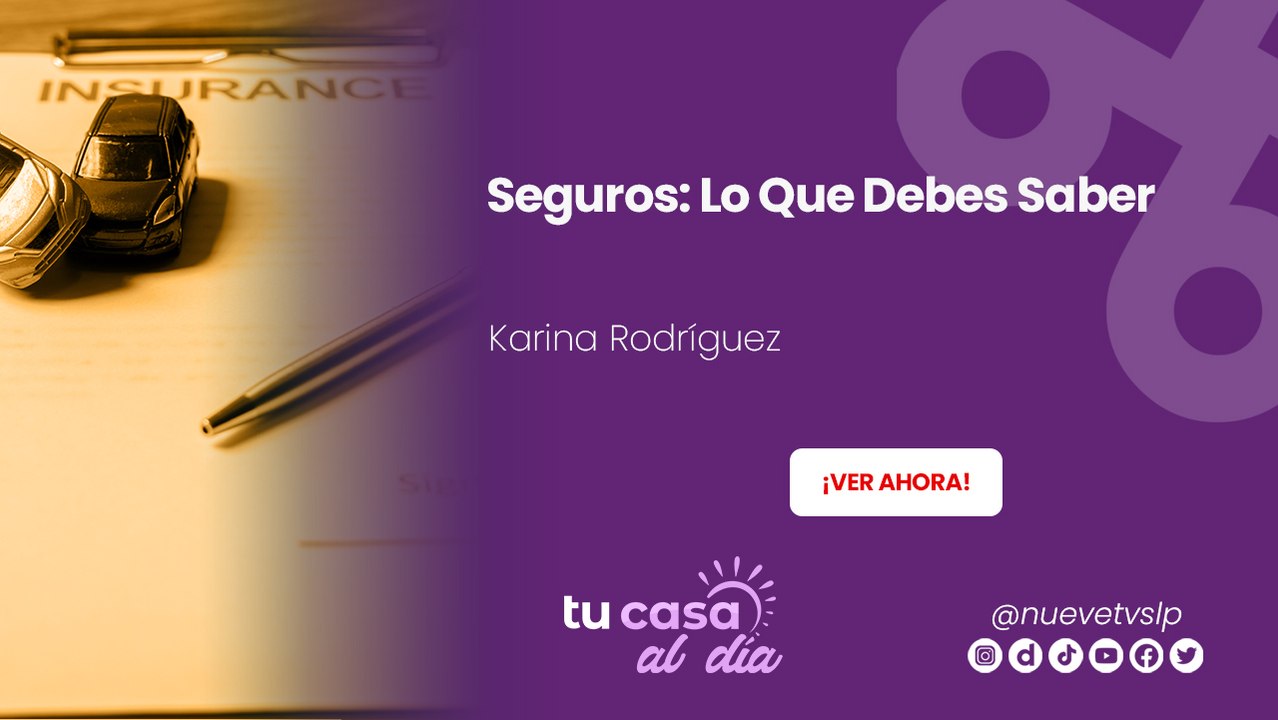 Seguros: Lo Que Debes Saber