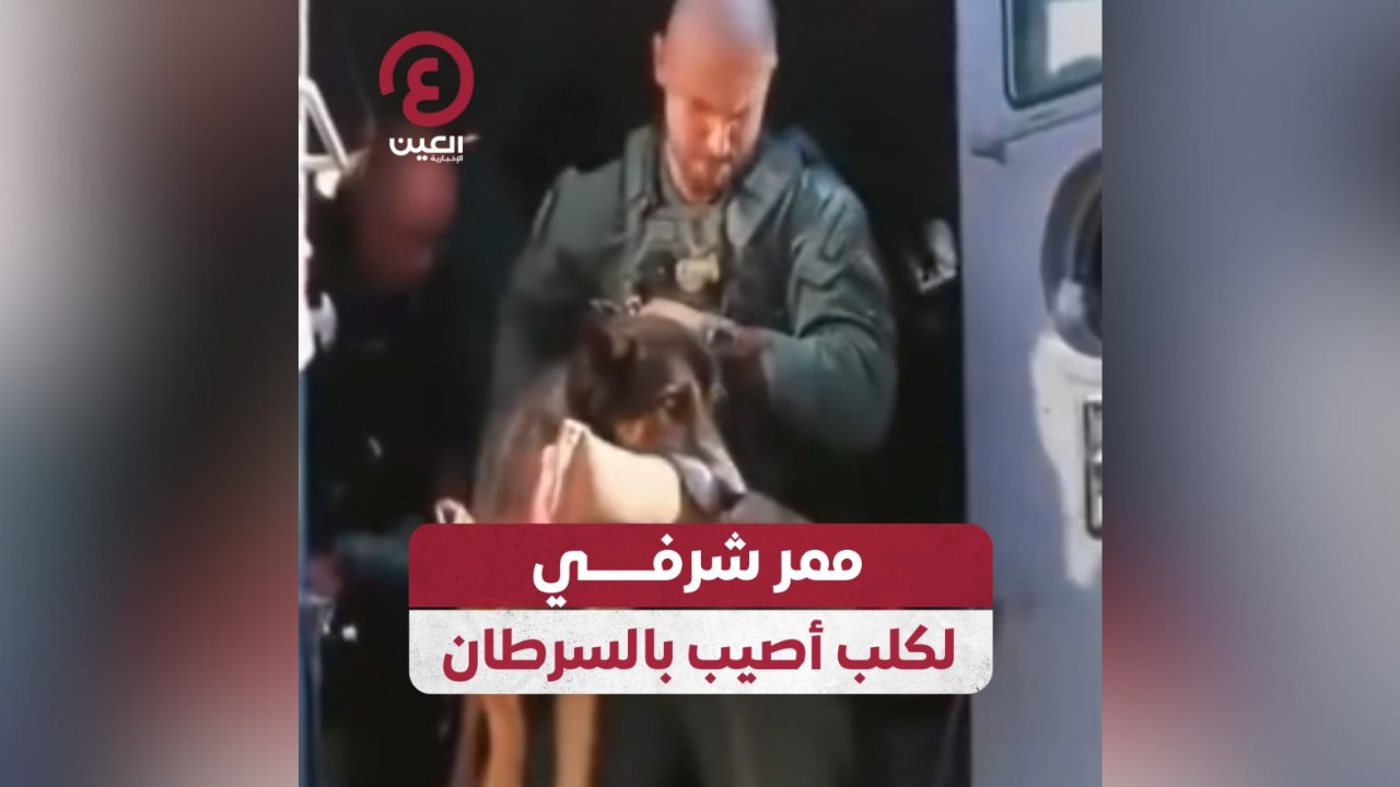 ممر شرفي لكلب أصيب بالسرطان