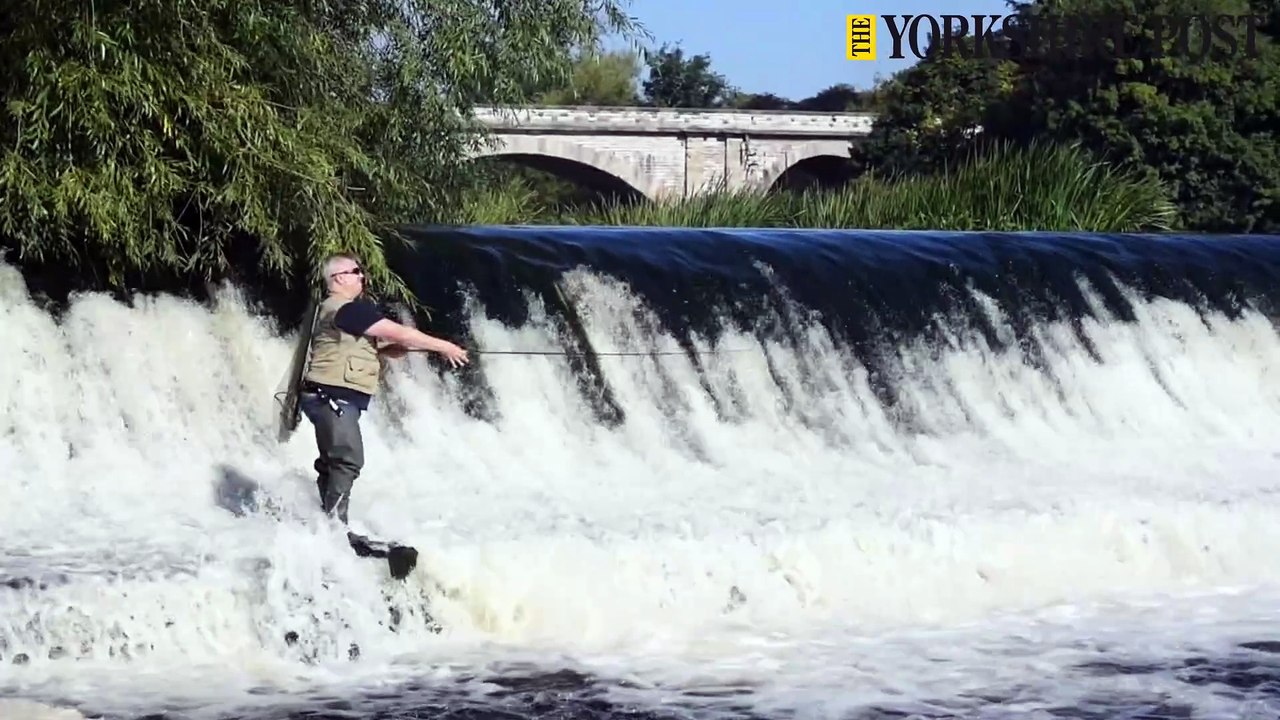 Lure fishing on Tadcaster Weir, a 200ft stretch across the River Wharfe, built in the early 1700s to power local mills.