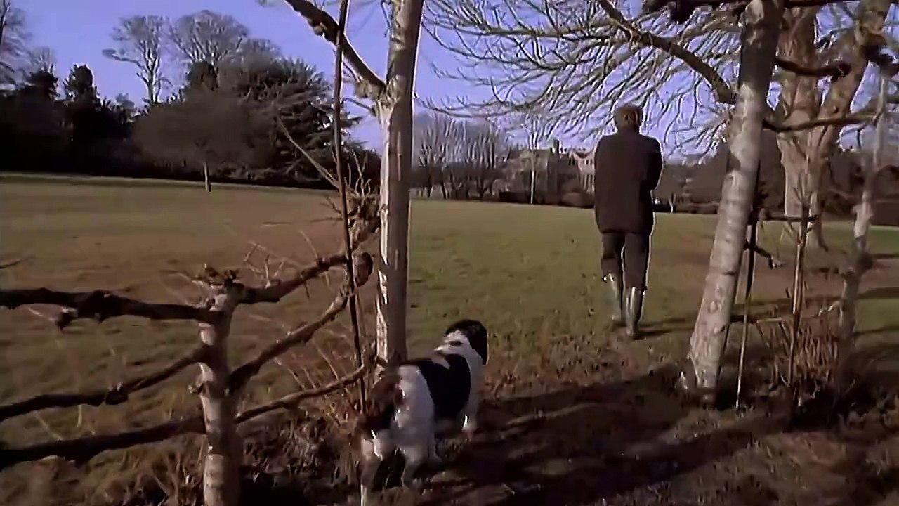 Sting - Shape of My Heart