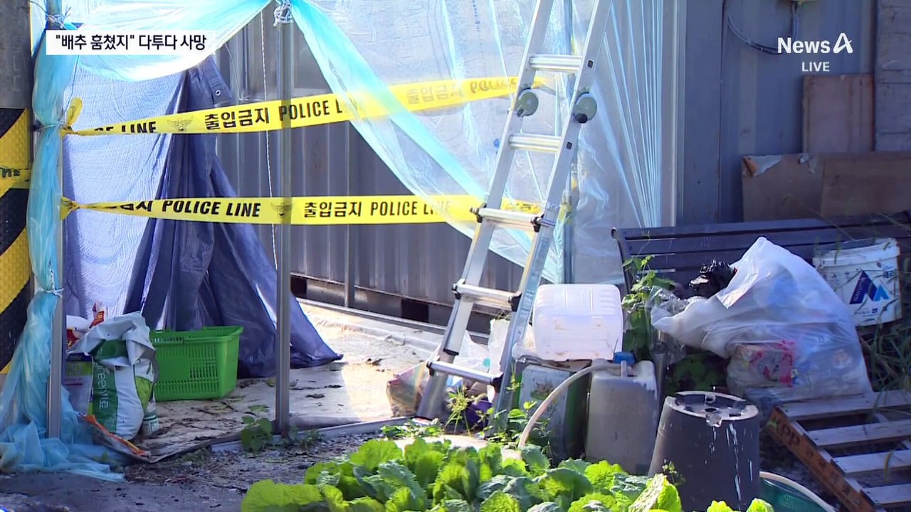 “배추 훔쳤지?” 실랑이하다 60대 남성 사망