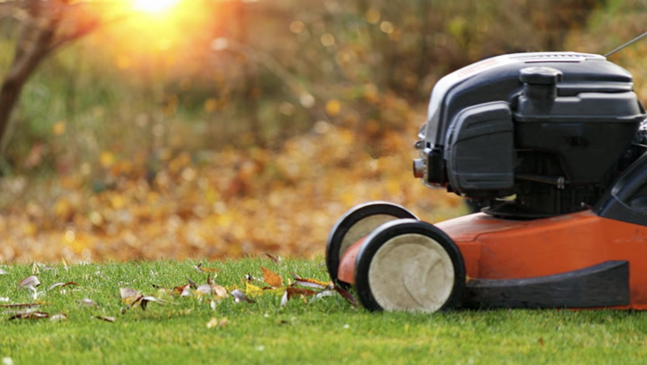 When to Stop Mowing Your Lawn for the Season