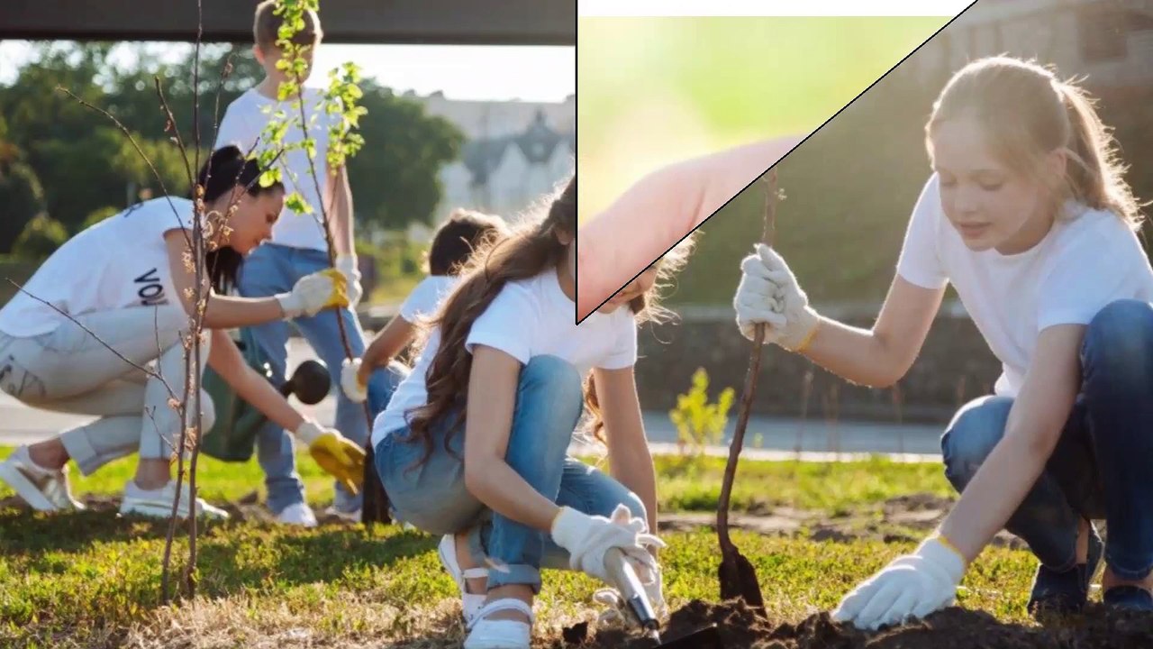 What is Compassion in Reality?