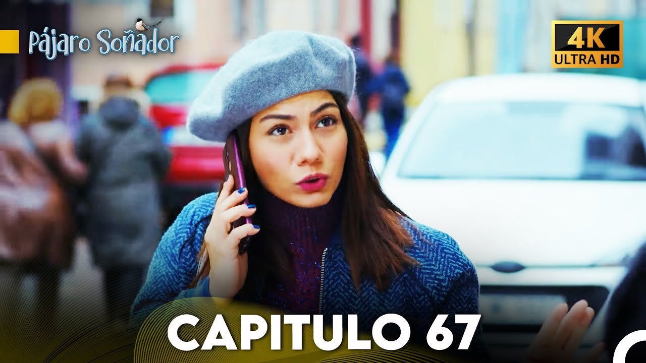 Pájaro Soñador Capítulo 67 (Doblado En Español 4K)