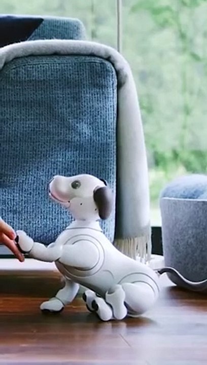 Voici un chien robot qui va remplacer votre VRAI chien !