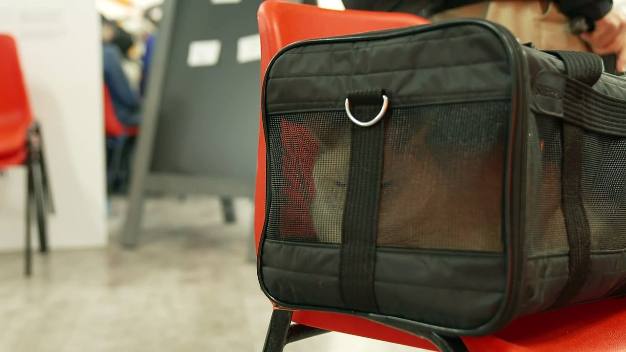 Luxury liner departs Belfast after being stranded for months