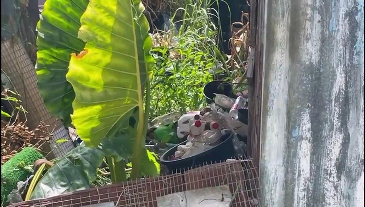 "Nous sommes arrivés à une saturation d'ordures"