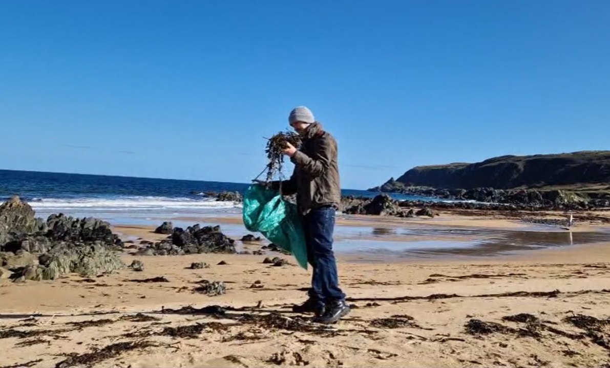 Collecting seaweed to supercharge your garden