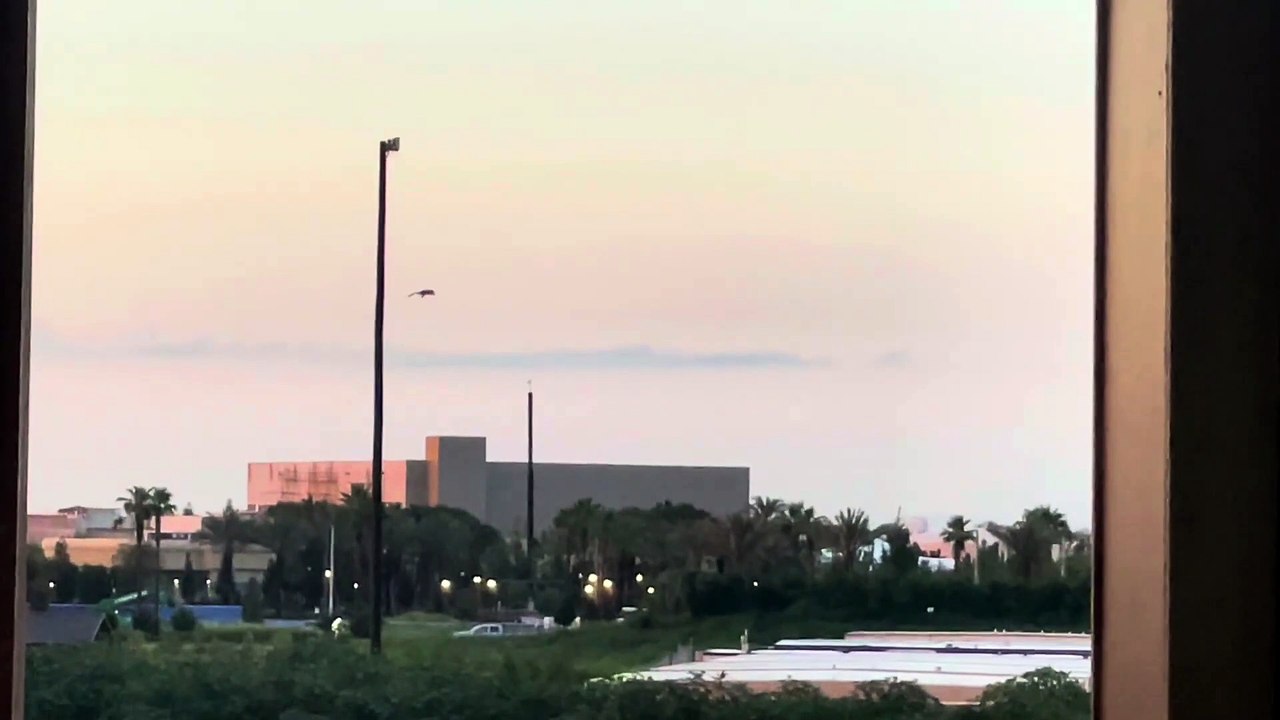 Epic Universe - Cómo entrenar a tu dragón