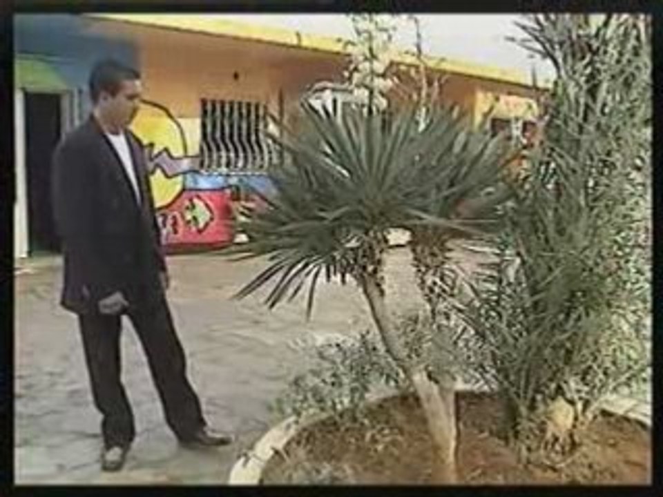 Kayen Rabi: Celebrating the Festival