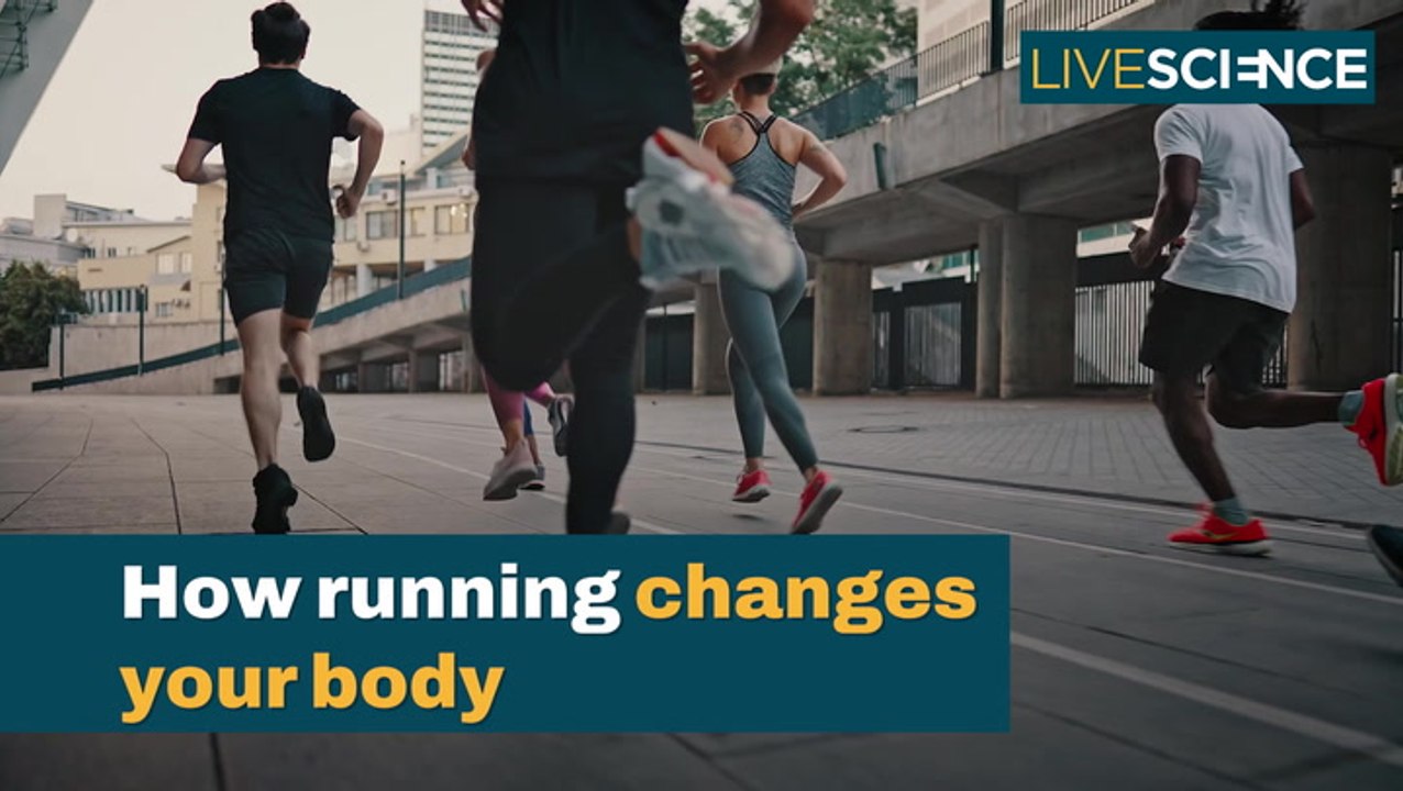 Does Running Physically Affect Your Body?