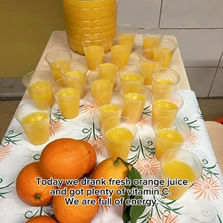 Benefits of Plants 🌿