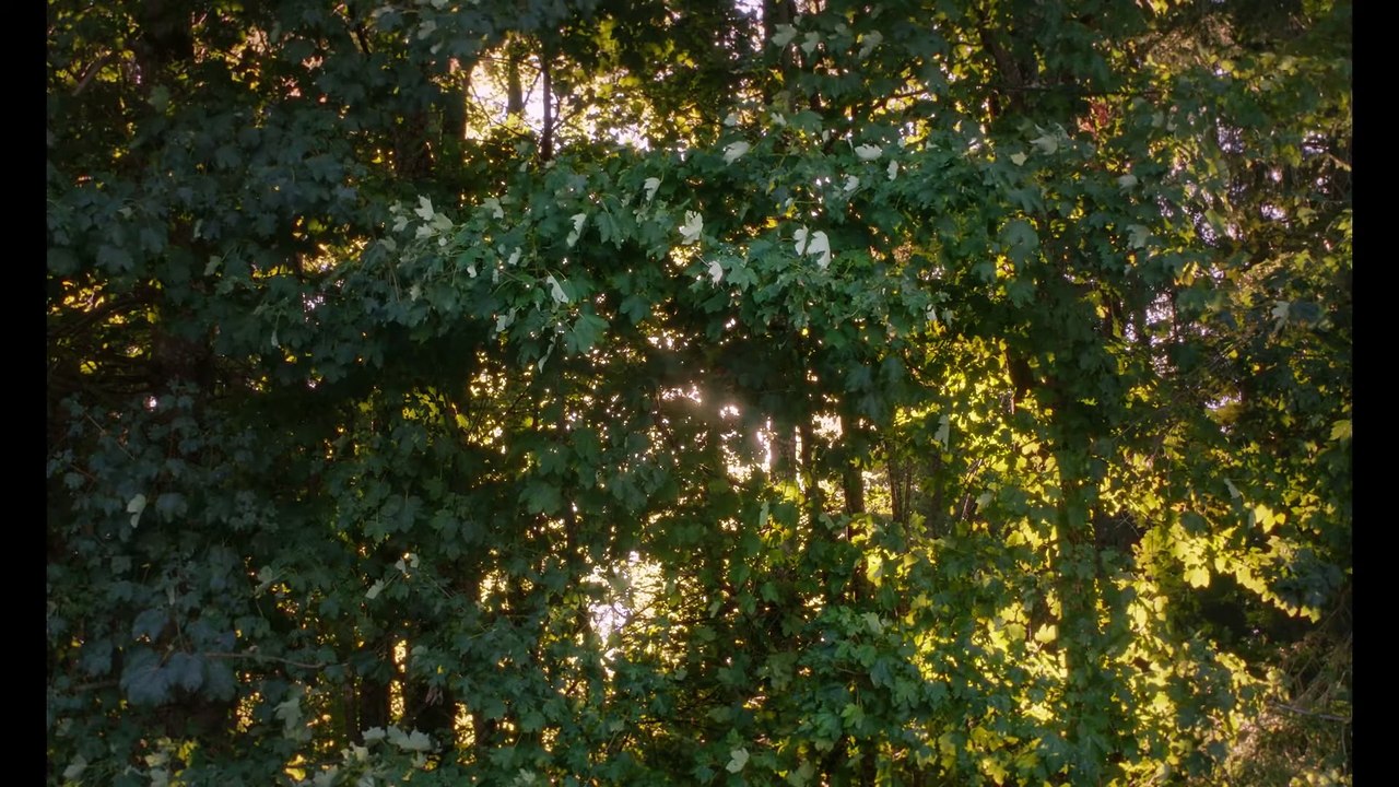 Der Spatz im Kamin | movie | 2024 | Official Trailer