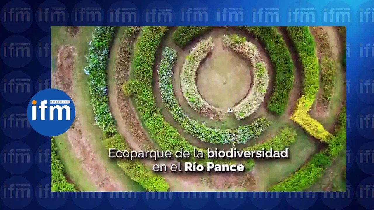Video oficial de la COP16 en Cali