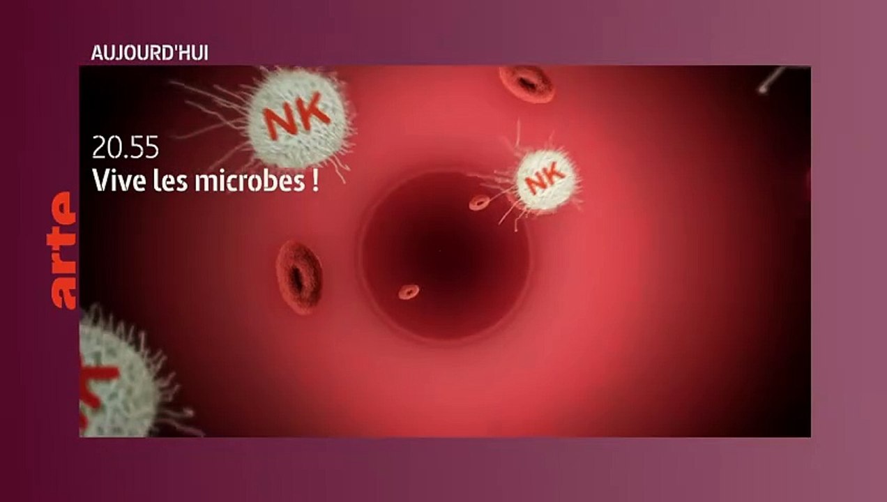 Le pape Pie XII et la Shoah - 8 octobre