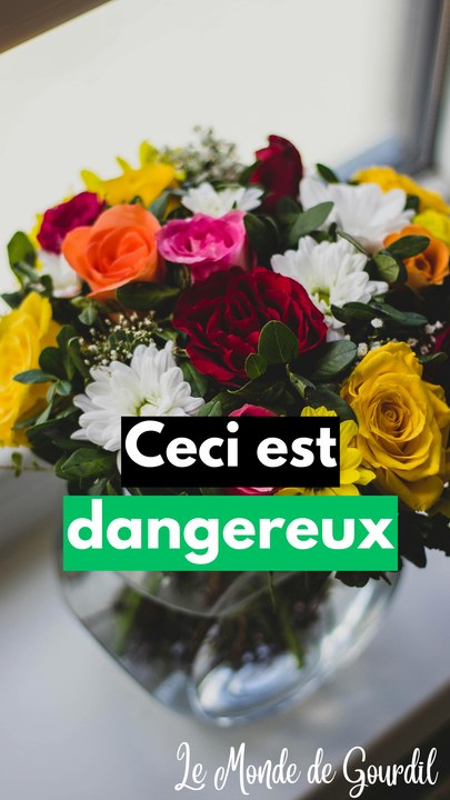 Ceci est dangereux !
