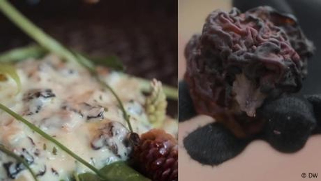 Finnische Spezialität: giftige Pilze, richtig zubereitet