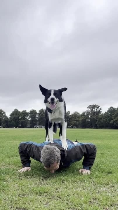 Dog Stands on Man's Back as He Does Push-Ups
