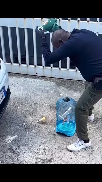 follow here - The Tesla Cybertruck is an all-electric, battery-powered light-duty truck unveiled by Tesla, Inc. Here’s a comprehensive overview of its key features and specifications- Tesla Cybertruck O_2