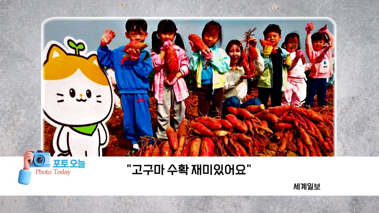 [포토오늘] "고구마 수확 재미있어요"  / YTN
