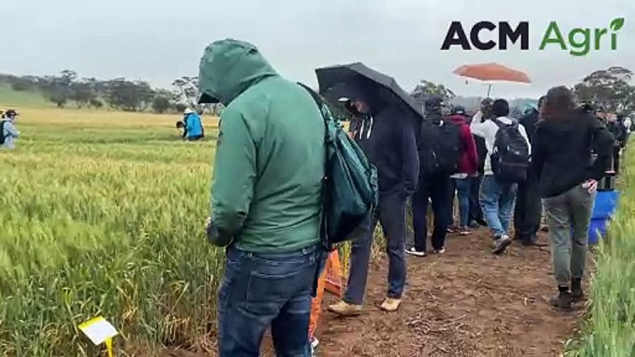 International Wheat Congress | Farm Weekly | 15/10/24