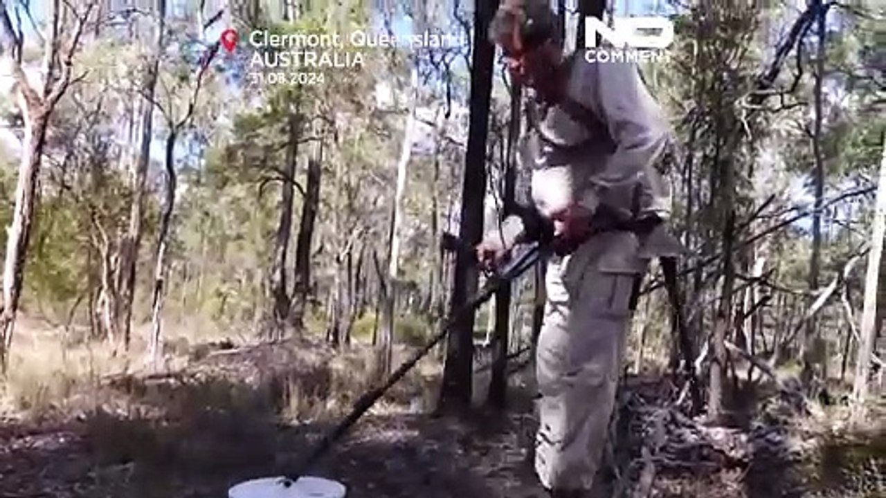 بلدة صغيرة في أستراليا تستفيد من حمى البحث عن الذهب