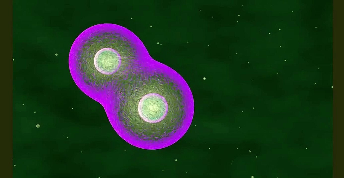 Multiplicação de Células