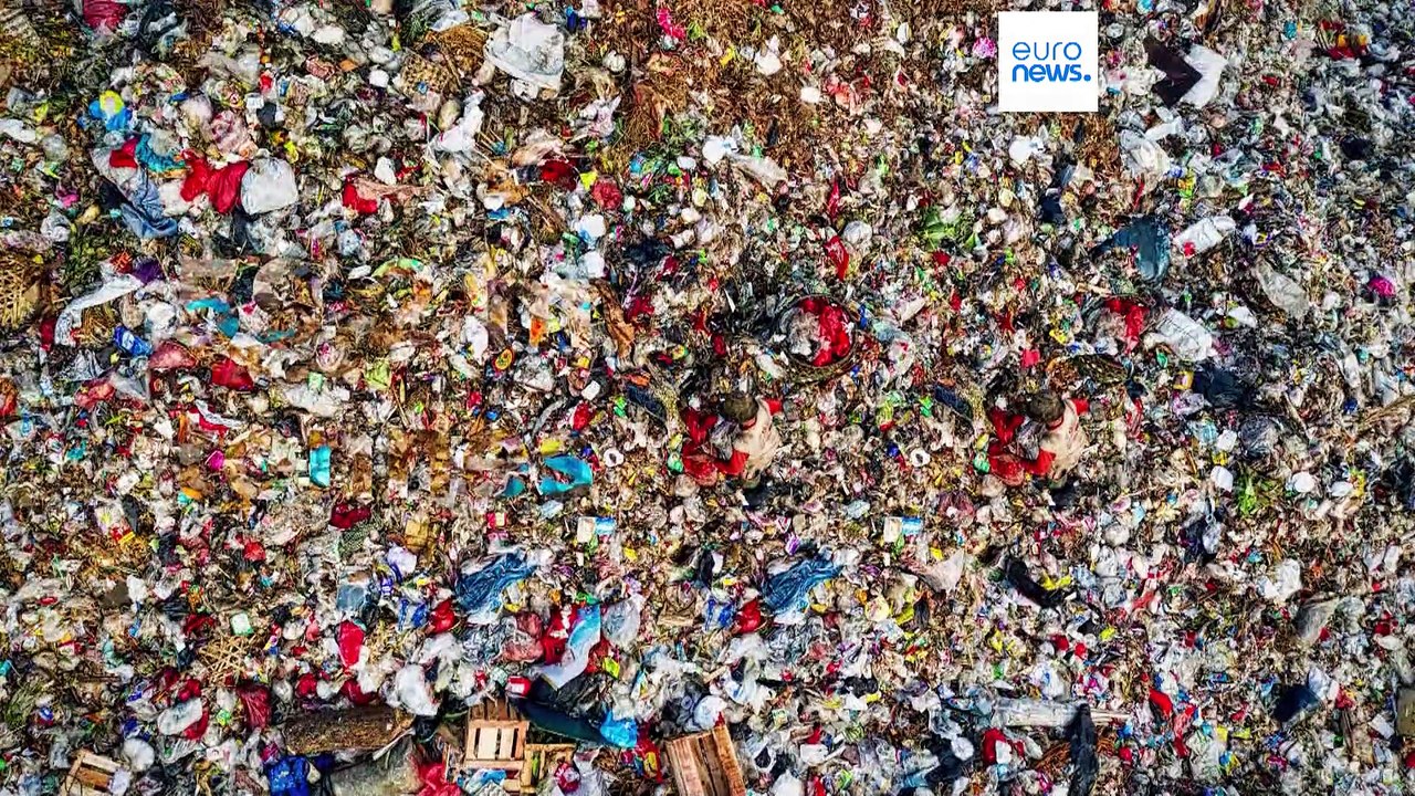 В какой стране Европы выбрасывают больше всего продуктов?