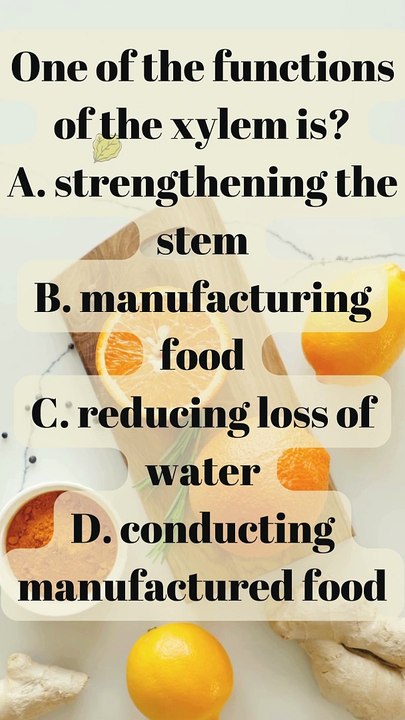 Questions and Answer Quiz: Test Your IQ