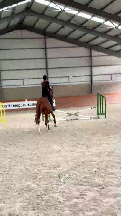 Fenomen Danla Bilic attan düştü! Korku dolu anlar...