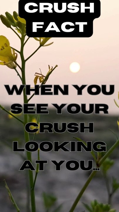 The Heart-Pounding Moment