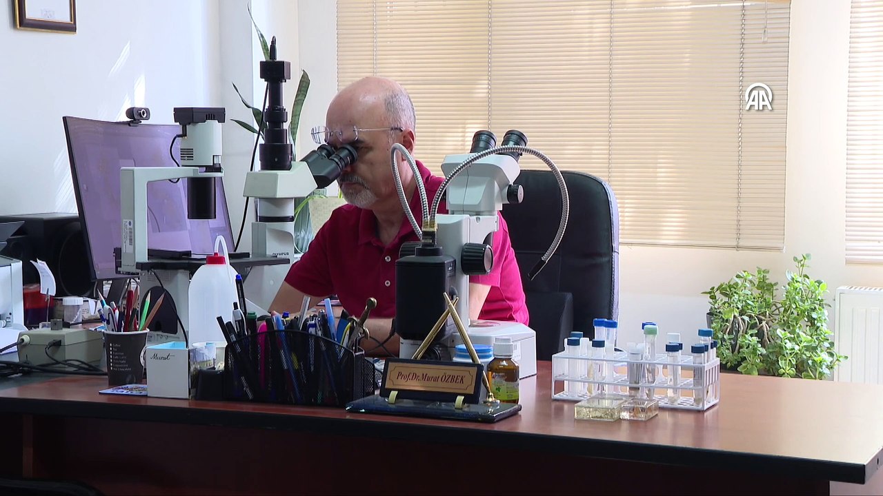 Yeni bulunan türe Murat Sezgin'in ismi verildi